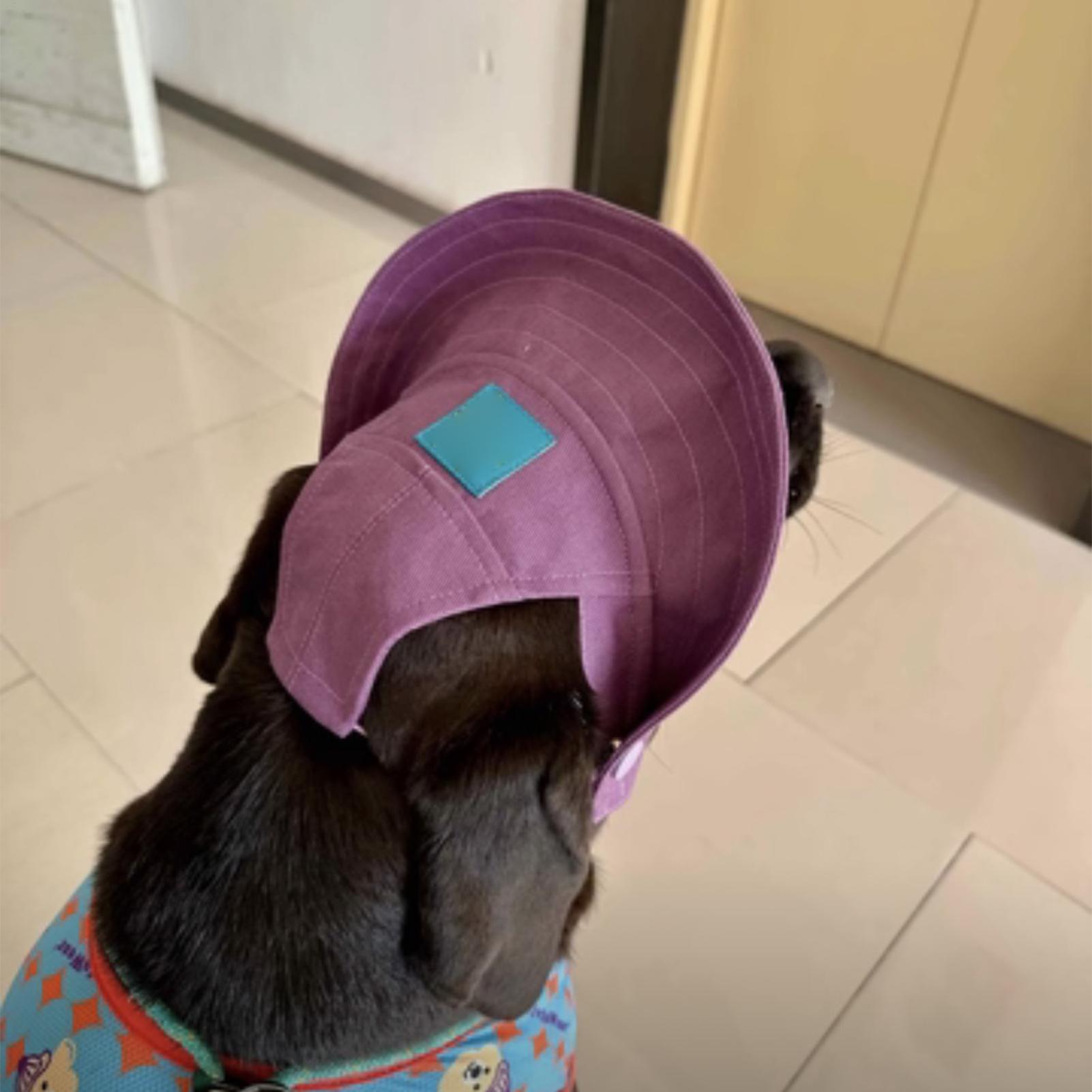قبعة شمس للقطط قابلة للتنفس ذا - مراجعة Sun Hat Wide Brim وسعره